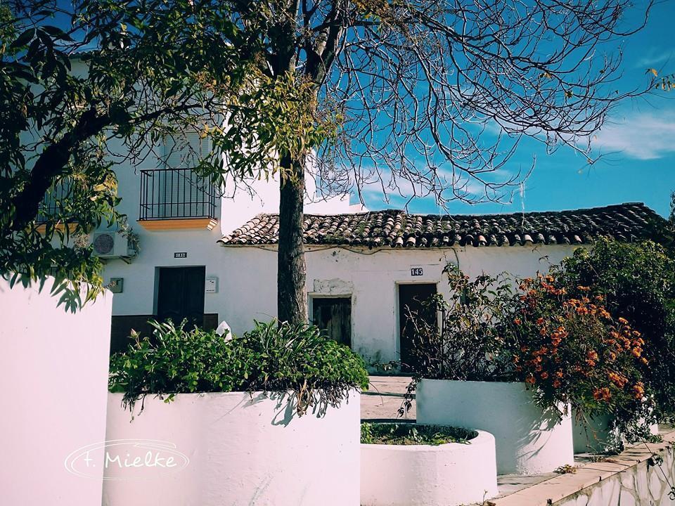 La Carrihuela Guest House Algodonales Ngoại thất bức ảnh
