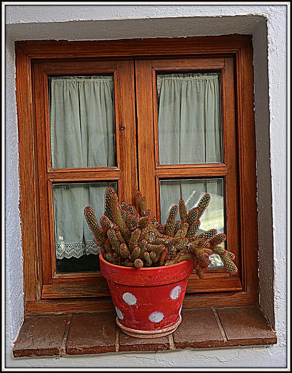 La Carrihuela Guest House Algodonales Ngoại thất bức ảnh