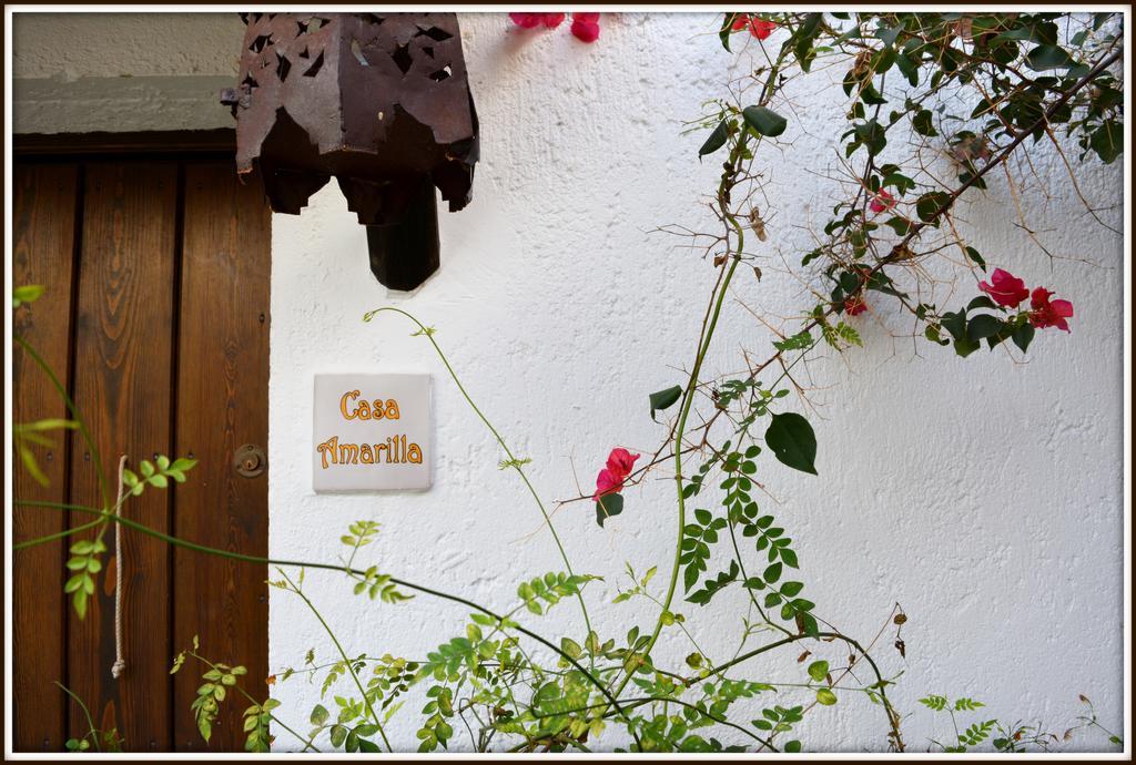 La Carrihuela Guest House Algodonales Ngoại thất bức ảnh